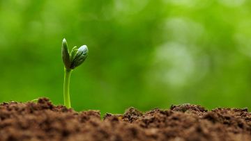 bonnes pratiques agricoles